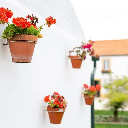 Casa D'oliveira 4* أفيرو