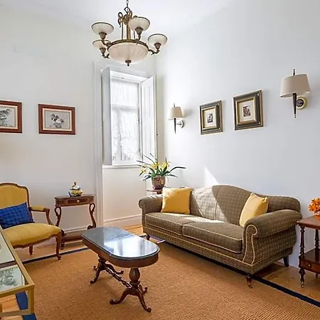 Casa D'oliveira Aveiro