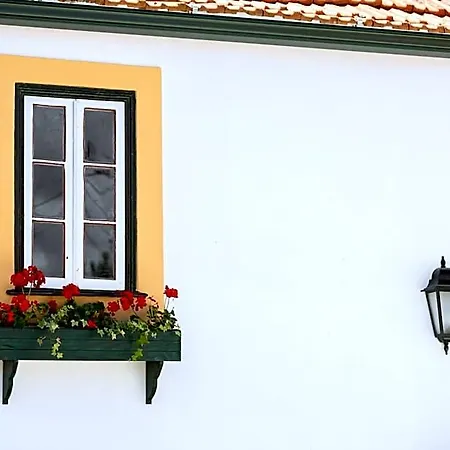 Alojamento de Acomodação e Pequeno-almoço Casa D'oliveira 4*