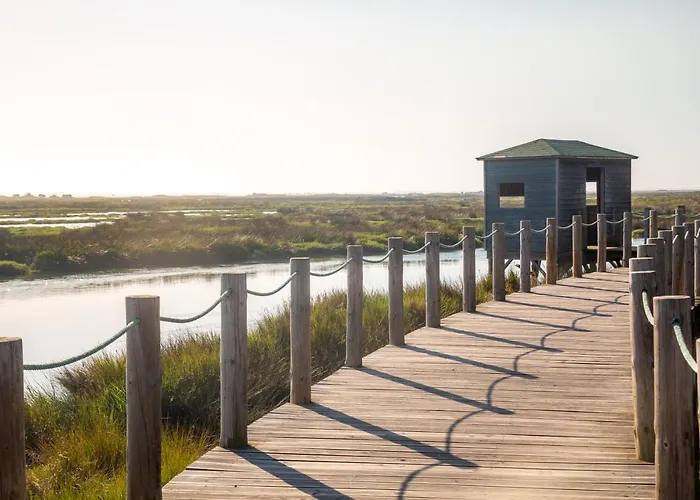 לינה וארוחת בוקר Casa D'oliveira